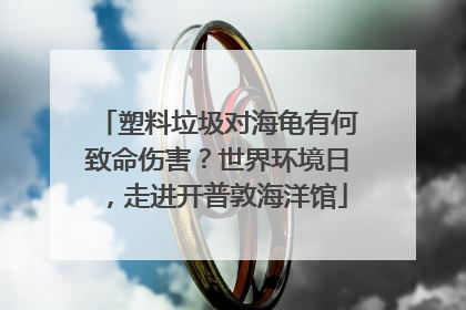 塑料垃圾对海龟有何致命伤害？世界环境日，走进开普敦海洋馆
