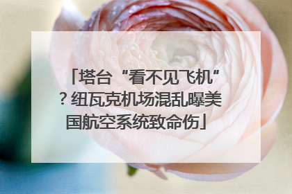 塔台“看不见飞机”？纽瓦克机场混乱曝美国航空系统致命伤