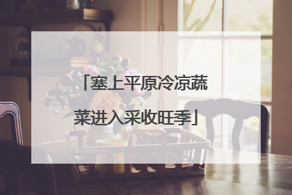 塞上平原冷凉蔬菜进入采收旺季