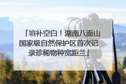 填补空白！湖南八面山国家级自然保护区首次记录珍稀物种宽距兰