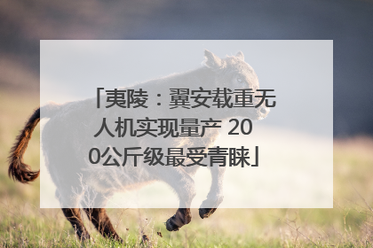 夷陵：翼安载重无人机实现量产 200公斤级最受青睐