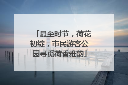夏至时节，荷花初绽，市民游客公园寻觅荷香雅韵