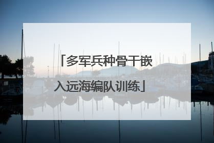 多军兵种骨干嵌入远海编队训练