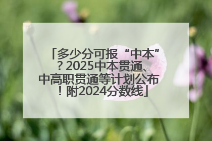多少分可报“中本”？2025中本贯通、中高职贯通等计划公布！附2024分数线