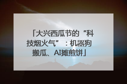 大兴西瓜节的“科技烟火气”：机器狗搬瓜、AI摊煎饼