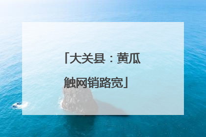 大关县：黄瓜触网销路宽
