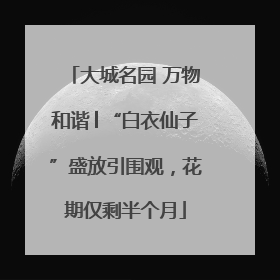 大城名园 万物和谐│“白衣仙子”盛放引围观，花期仅剩半个月