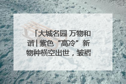 大城名园 万物和谐│紫色“高冷”新物种横空出世，皱褶叶片暗藏进化密码