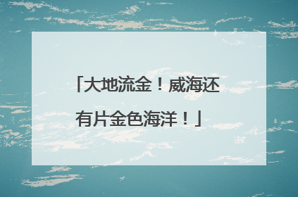 大地流金！威海还有片金色海洋！