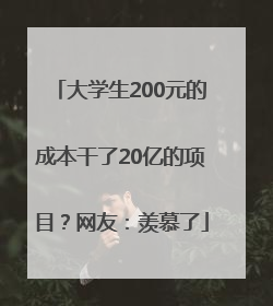 大学生200元的成本干了20亿的项目？网友：羡慕了
