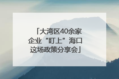 大湾区40余家企业“盯上”海口这场政策分享会
