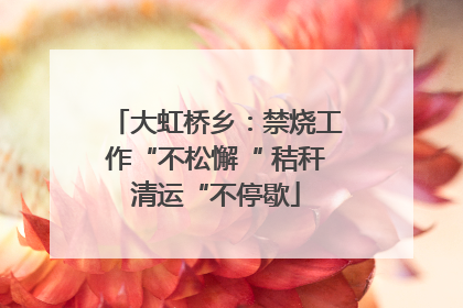 大虹桥乡：禁烧工作“不松懈“ 秸秆清运“不停歇