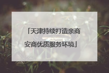 天津持续打造亲商安商优质服务环境