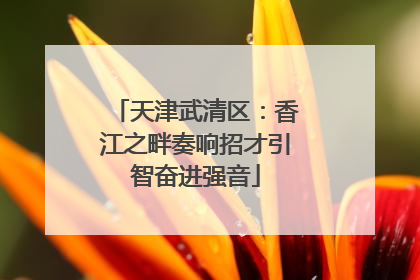 天津武清区：香江之畔奏响招才引智奋进强音