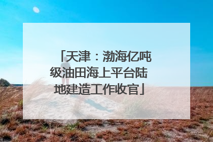天津：渤海亿吨级油田海上平台陆地建造工作收官