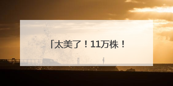 太美了！11万株！福州这里绚丽多彩！