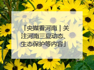 央媒看河南｜关注河南三夏动态、生态保护等内容