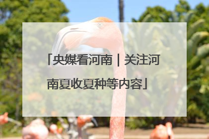 央媒看河南｜关注河南夏收夏种等内容