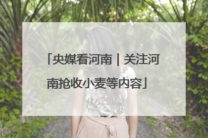 央媒看河南｜关注河南抢收小麦等内容