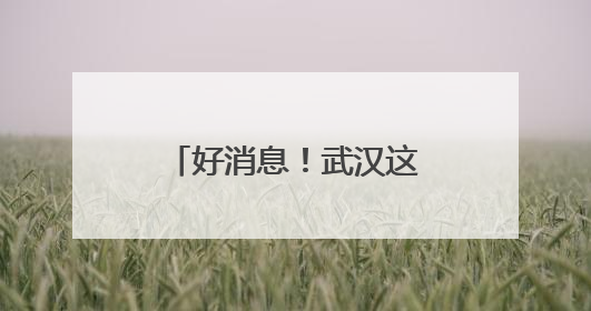 好消息！武汉这个区入选全国首批综合类典型案例