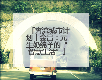奔流城市计划丨金昌：元生奶绵羊的“智慧生活”