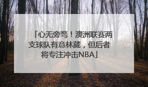 心无旁骛！澳洲联赛两支球队有意林葳，但后者将专注冲击NBA