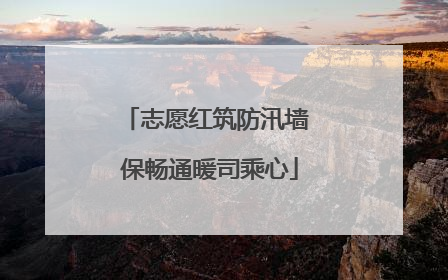 志愿红筑防汛墙 保畅通暖司乘心