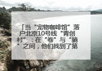 当“宠物咖啡馆”落户北京10号线“青创村”：在“卷”与“躺”之间，他们找到了第三种生活公式