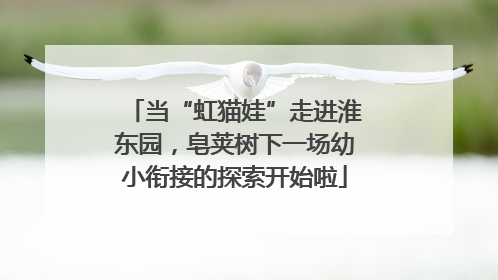 当“虹猫娃”走进淮东园，皂荚树下一场幼小衔接的探索开始啦