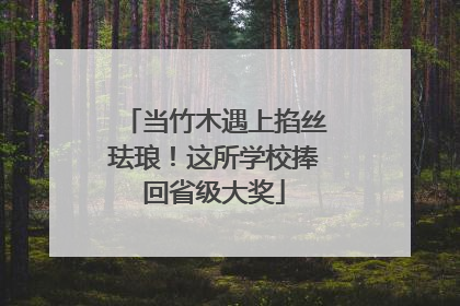 当竹木遇上掐丝珐琅！这所学校捧回省级大奖