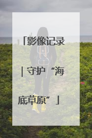 影像记录｜守护“海底草原”