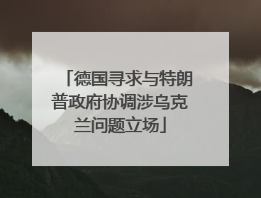 德国寻求与特朗普政府协调涉乌克兰问题立场