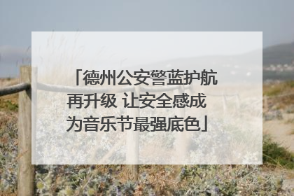 德州公安警蓝护航再升级 让安全感成为音乐节最强底色