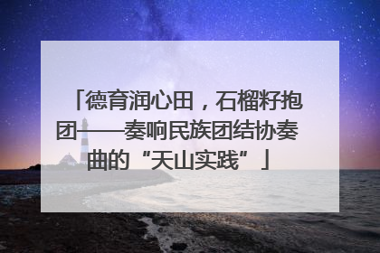 德育润心田，石榴籽抱团——奏响民族团结协奏曲的“天山实践”