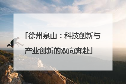 徐州泉山：科技创新与产业创新的双向奔赴