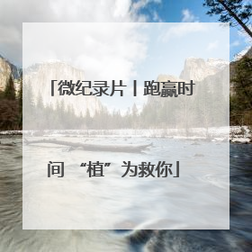 微纪录片丨跑赢时间 “植”为救你