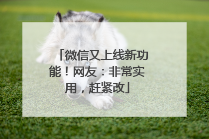 微信又上线新功能！网友：非常实用，赶紧改