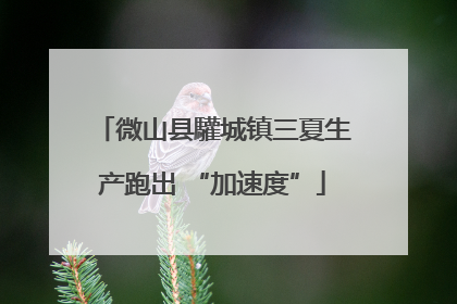 微山县驩城镇三夏生产跑出 “加速度”