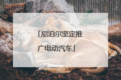 尼泊尔坚定推广电动汽车
