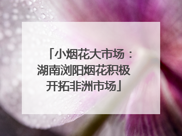 小烟花大市场：湖南浏阳烟花积极开拓非洲市场