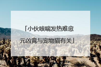 小伙咳喘发热难愈 元凶竟与宠物猫有关