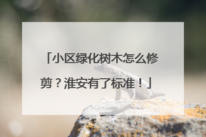 小区绿化树木怎么修剪？淮安有了标准！