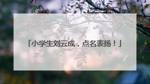 小学生刘云成，点名表扬！