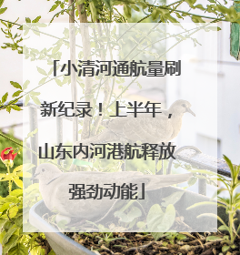 小清河通航量刷新纪录！上半年，山东内河港航释放强劲动能