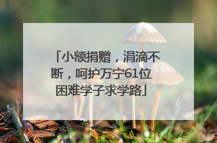 小额捐赠，涓滴不断，呵护万宁61位困难学子求学路