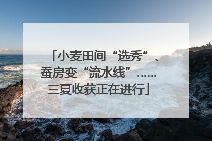 小麦田间“选秀”、蚕房变“流水线”……三夏收获正在进行