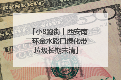 小8跑街丨西安南二环金水路口绿化带垃圾长期未清