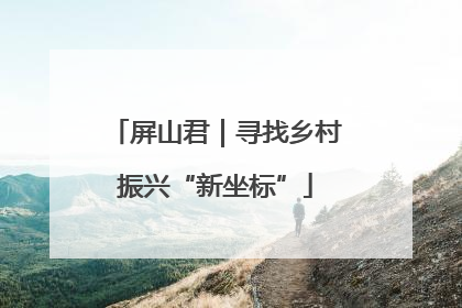 屏山君｜寻找乡村振兴“新坐标”