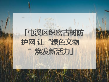 屯溪区织密古树防护网 让“绿色文物”焕发新活力