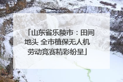 山东省乐陵市：田间地头 全市植保无人机劳动竞赛精彩纷呈
